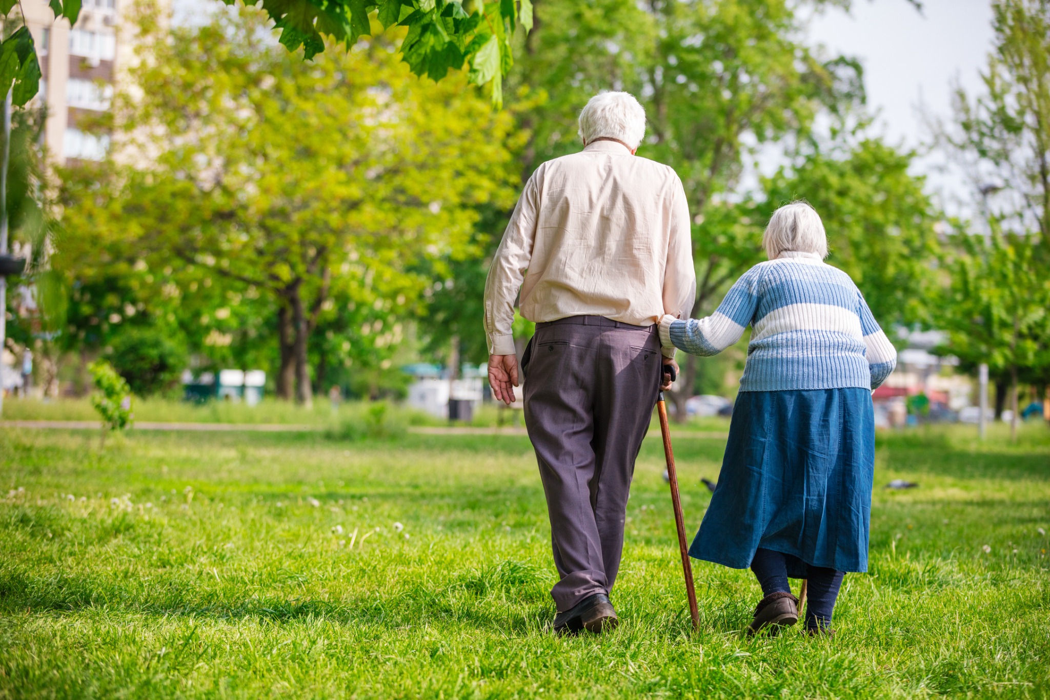 Older couple walking together through a green park, one using a cane